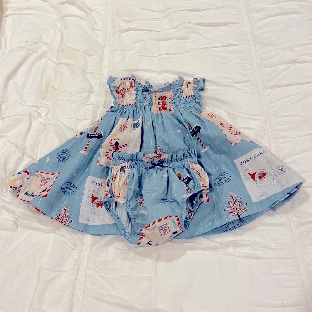 Pink Chicken Holiday Dress